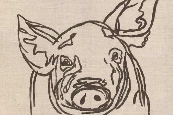 Kathleen Bryan: Farm Sketch Pig by Kathleen Bryan