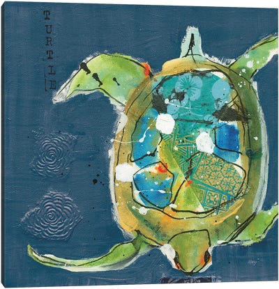 Chentes Turtle II Canvas Art Print - Reptile & Amphibian Art