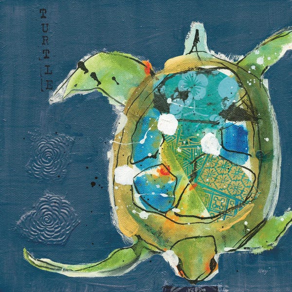 Turtles: Chentes Turtle II by Kellie Day
