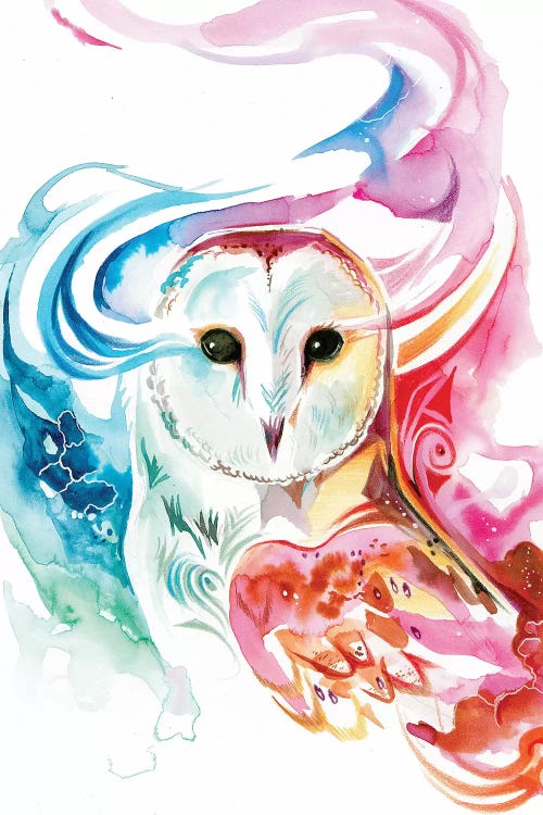 Rainbow Owl by Katy Lipscomb wall art
