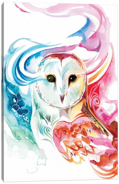 Rainbow Owl Canvas Art Print - Katy Lipscomb
