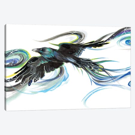 Rainbow Raven Canvas Print #KLI109} by Katy Lipscomb Canvas Artwork