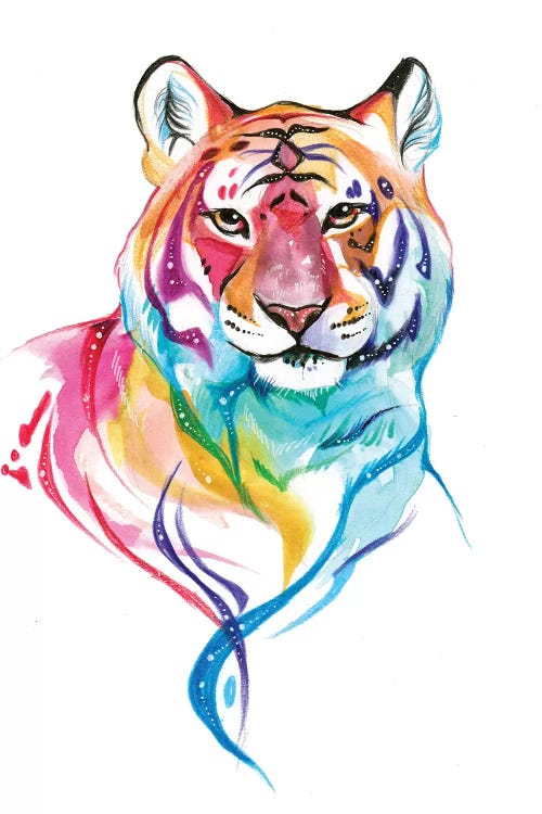 Rainbow Tiger I