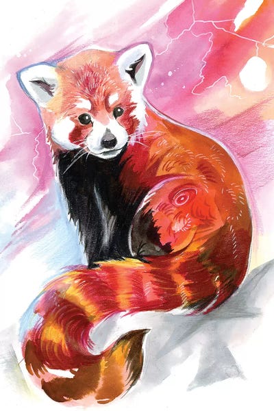 Red Panda Canvas Artwork By Katy Lipscomb Icanvas