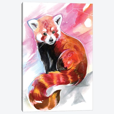 Red Panda Canvas Print #KLI116} by Katy Lipscomb Canvas Wall Art