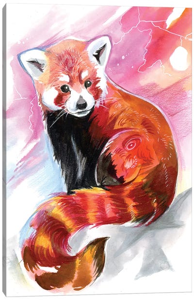Red Panda Canvas Art Print - Red Panda Art