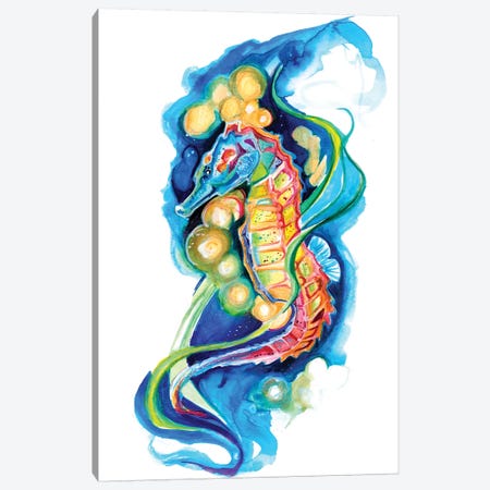 Seahorse Canvas Print #KLI123} by Katy Lipscomb Canvas Artwork