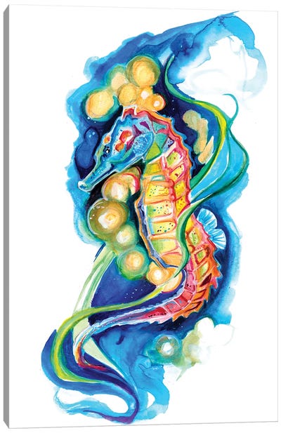 Seahorse Canvas Art Print - Katy Lipscomb