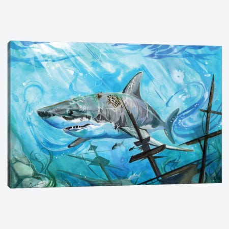 Shark Canvas Print #KLI128} by Katy Lipscomb Canvas Wall Art