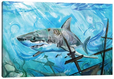 Shark Canvas Art Print - Katy Lipscomb