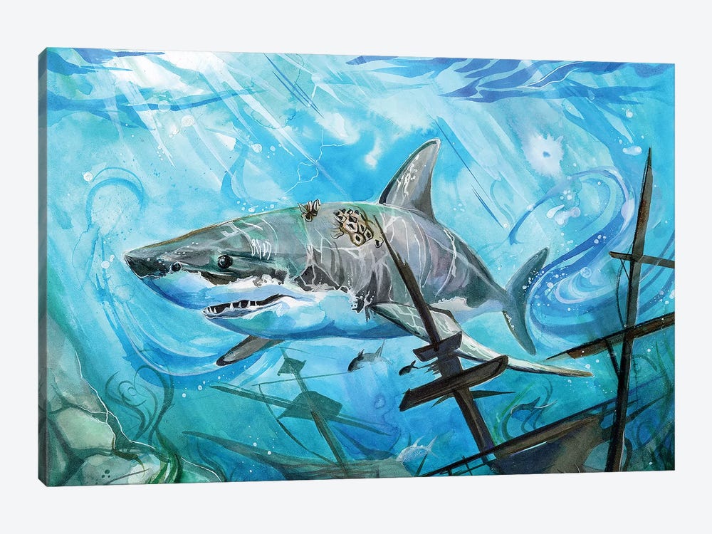 Shark by Katy Lipscomb 1-piece Canvas Wall Art