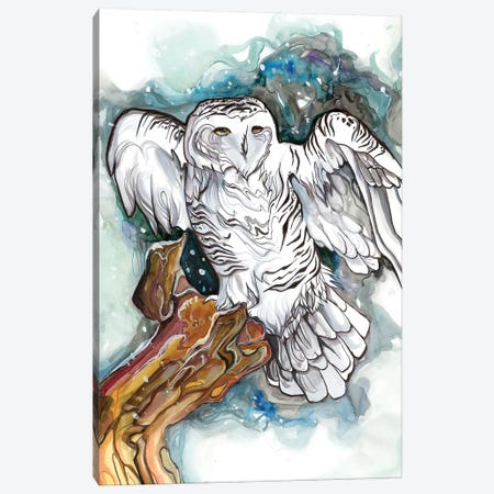Snowy Owl Canvas Print #KLI135} by Katy Lipscomb Canvas Art