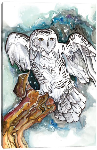 Snowy Owl Canvas Art Print - Katy Lipscomb
