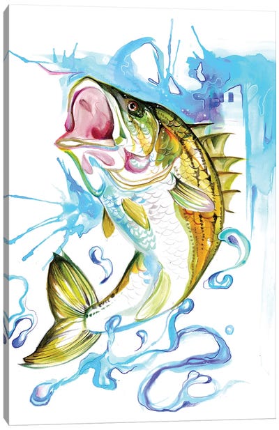 Striped Bass Canvas Art Print - Katy Lipscomb