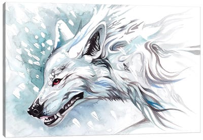 White Wolf Canvas Art Print - Wolf Art