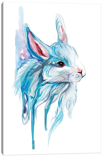 Winter Bunny Canvas Art Print - Katy Lipscomb