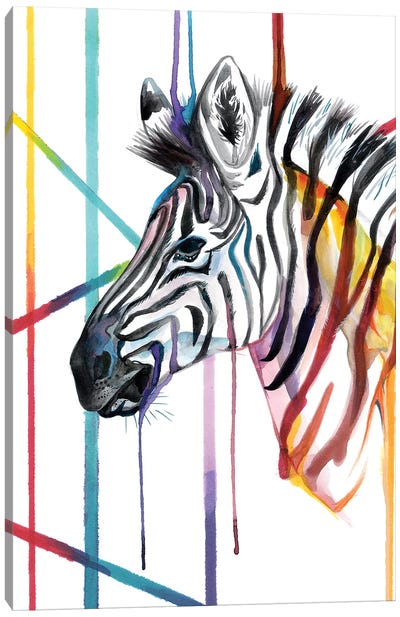 Zebra Canvas Art Print - Katy Lipscomb