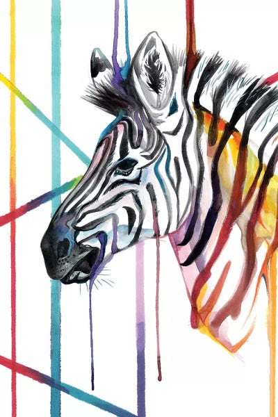 Zebras: Zebra by Katy Lipscomb