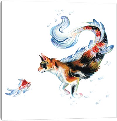Calico Koi Cat Canvas Art Print - Koi Fish Art