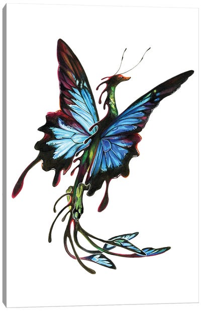 Butterfly Dragon Canvas Art Print - Katy Lipscomb