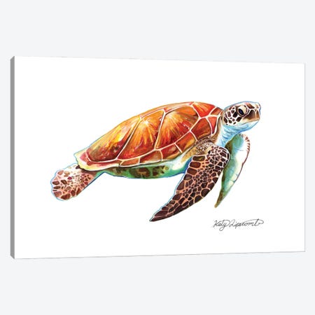 Sea Turtle Canvas Print #KLI162} by Katy Lipscomb Canvas Art