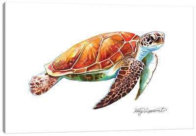 Sea Turtle Canvas Art Print - Katy Lipscomb