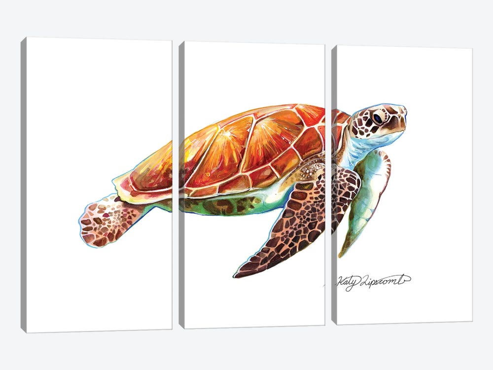 Sea Turtle by Katy Lipscomb 3-piece Canvas Art