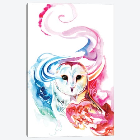 Rainbow Barn Owl Canvas Print #KLI165} by Katy Lipscomb Art Print