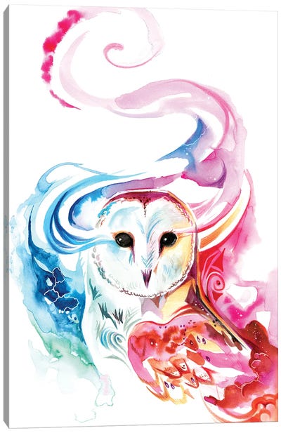 Rainbow Barn Owl Canvas Art Print - Katy Lipscomb