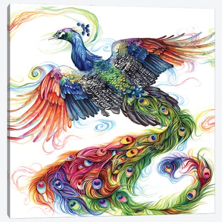 Peacock Canvas Print #KLI169} by Katy Lipscomb Canvas Wall Art