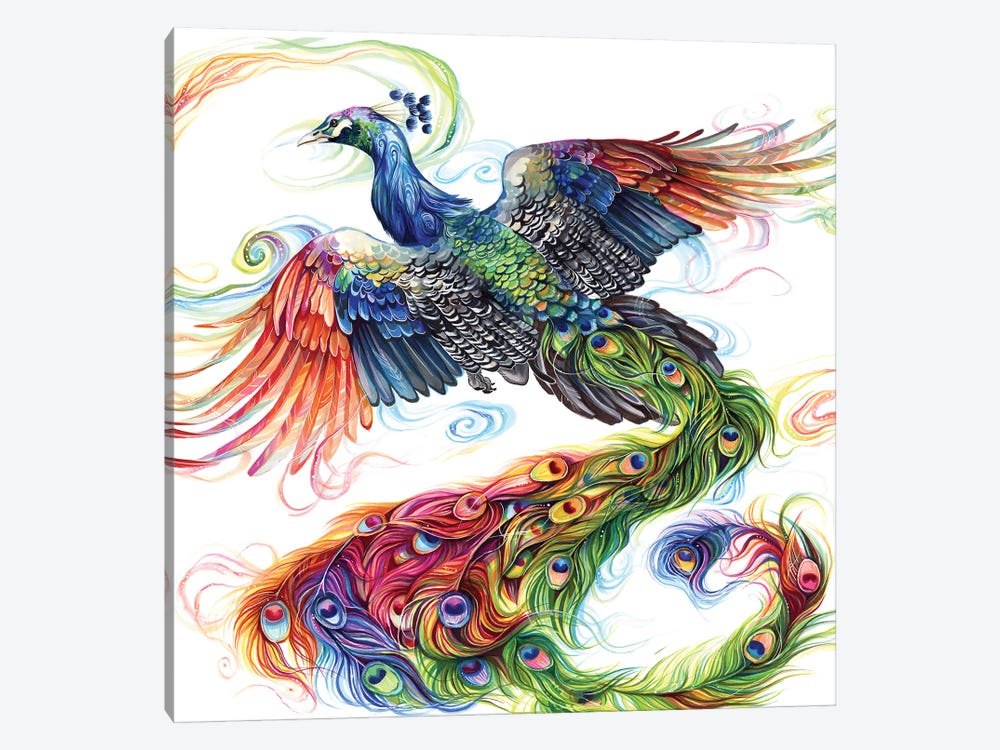 Peacock by Katy Lipscomb 1-piece Art Print