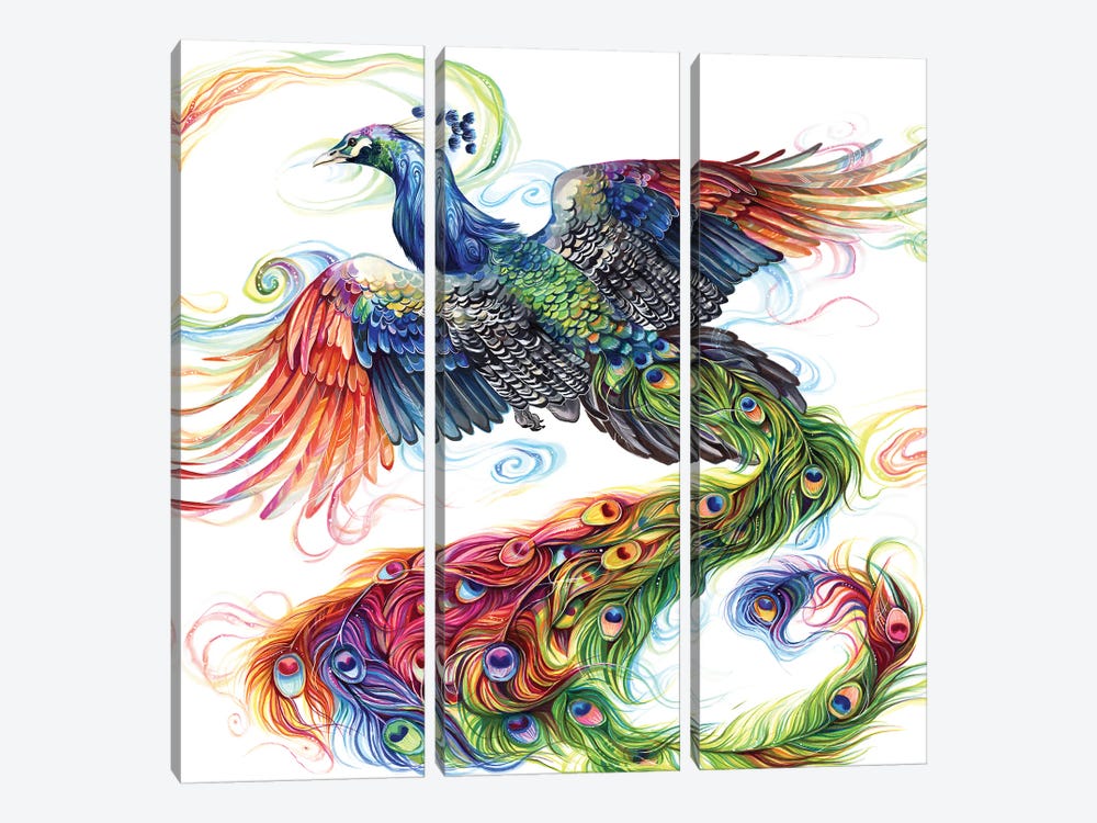 Peacock by Katy Lipscomb 3-piece Art Print