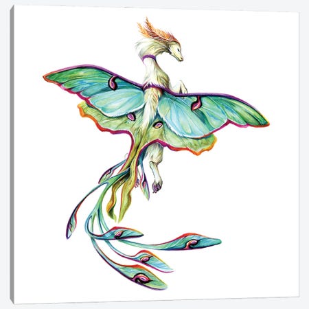 Luna Moth Dragon Canvas Print #KLI170} by Katy Lipscomb Art Print