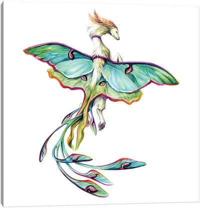 Luna Moth Dragon Canvas Art Print - Katy Lipscomb