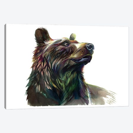 Grizzly Bear Canvas Print #KLI176} by Katy Lipscomb Canvas Wall Art