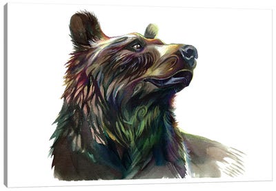 Grizzly Bear Canvas Art Print - Katy Lipscomb