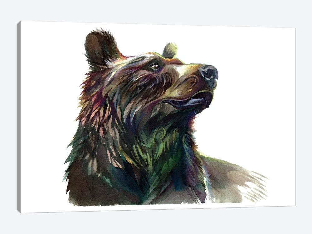 Grizzly Bear by Katy Lipscomb 1-piece Canvas Art Print