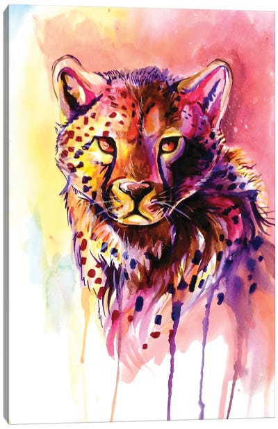 Cheetah Canvas Art Print - Katy Lipscomb