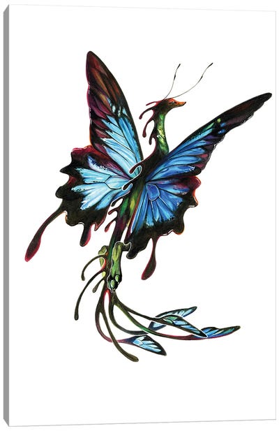 Ulysses Butterfly Dragon Canvas Art Print - Katy Lipscomb