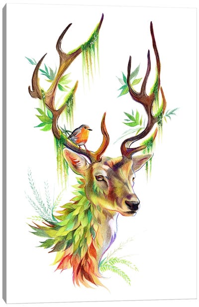Botanical Stag Canvas Art Print - Katy Lipscomb