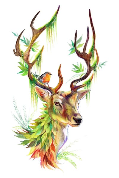 Katy Lipscomb: Botanical Stag by Katy Lipscomb