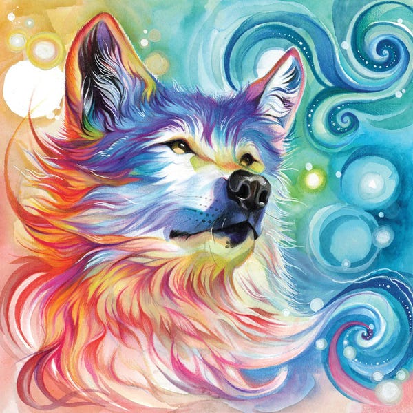Wolves: Rainbow Wolf by Katy Lipscomb