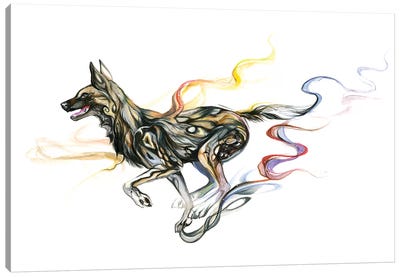 African Wild Dog Canvas Art Print - Katy Lipscomb