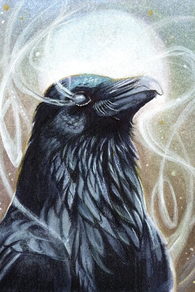 Spirit Raven II by Katy Lipscomb metal wall art