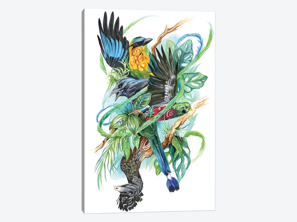 Costa Rican Birds by Katy Lipscomb 1-piece Canvas Art Print