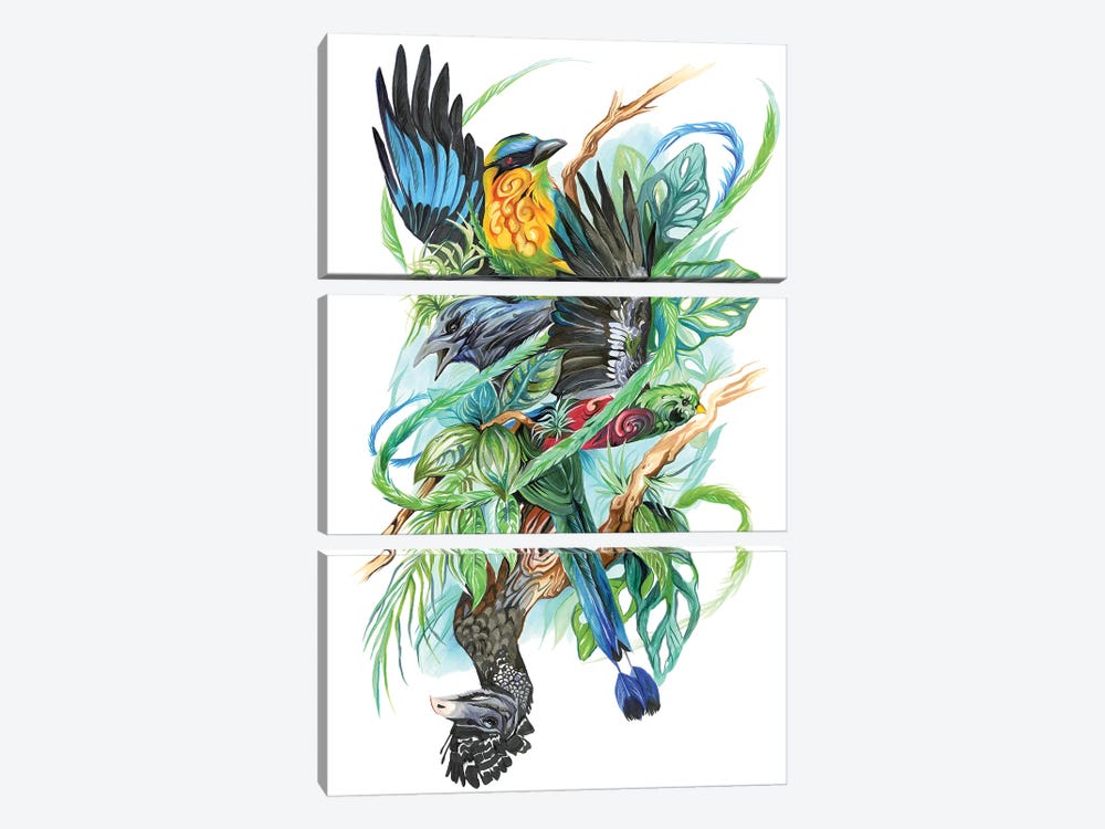 Costa Rican Birds by Katy Lipscomb 3-piece Canvas Art Print