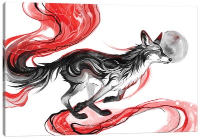 Dark Fox Canvas Art Print - Katy Lipscomb