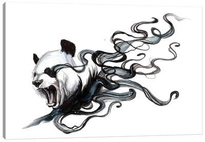 Disappearing Panda II Canvas Art Print - Panda Art