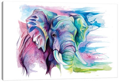 Elephant II Canvas Art Print - Perano Art
