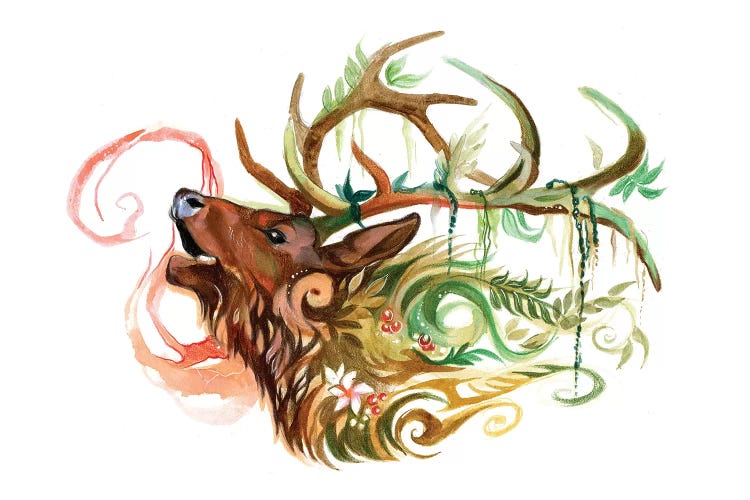 Elk